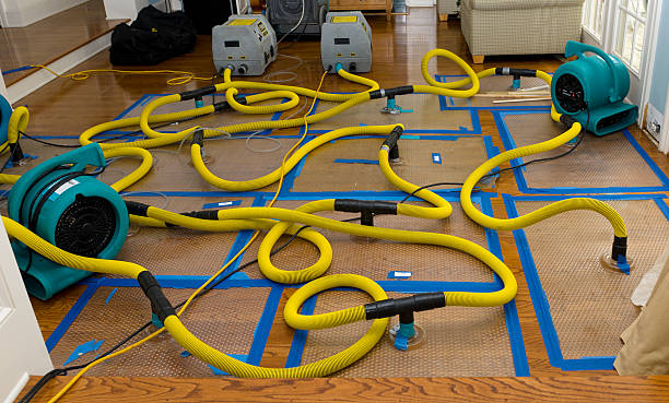 Professional Burst Pipe Water Damage technician working in Madison, WI